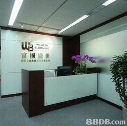 VL Design 专业设计服务 从住宅到商业空间的全方位解决方案